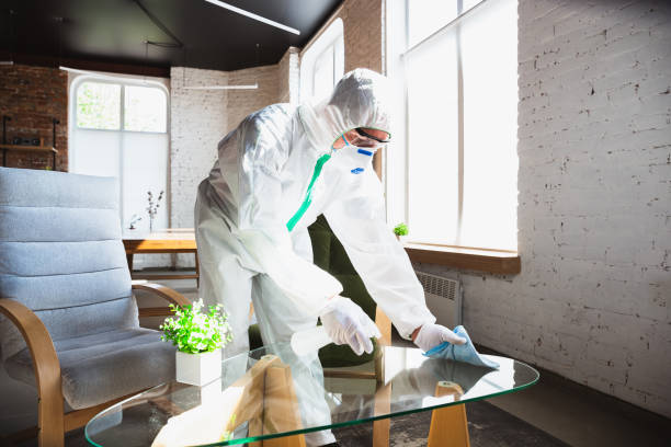 Professional Mold Removal in North Lakeville, MA