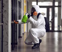 Why You Should Choose Our Mold Remediation Services in North Lakeville, MA